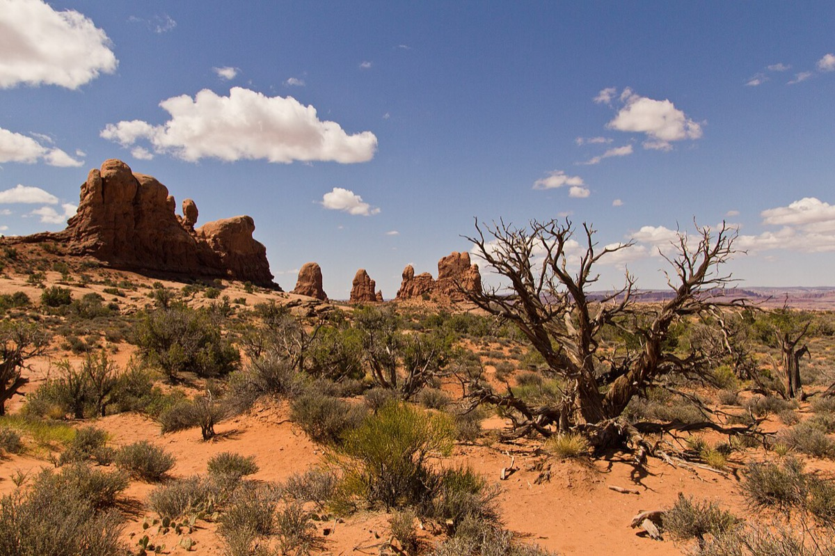 Utah desert landscape near Arches National Park